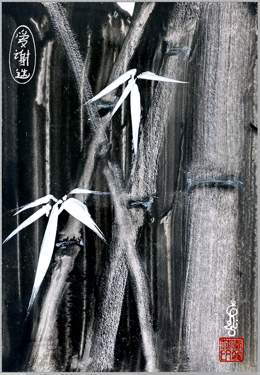 bambous-de-novembre-1-copier-ecran