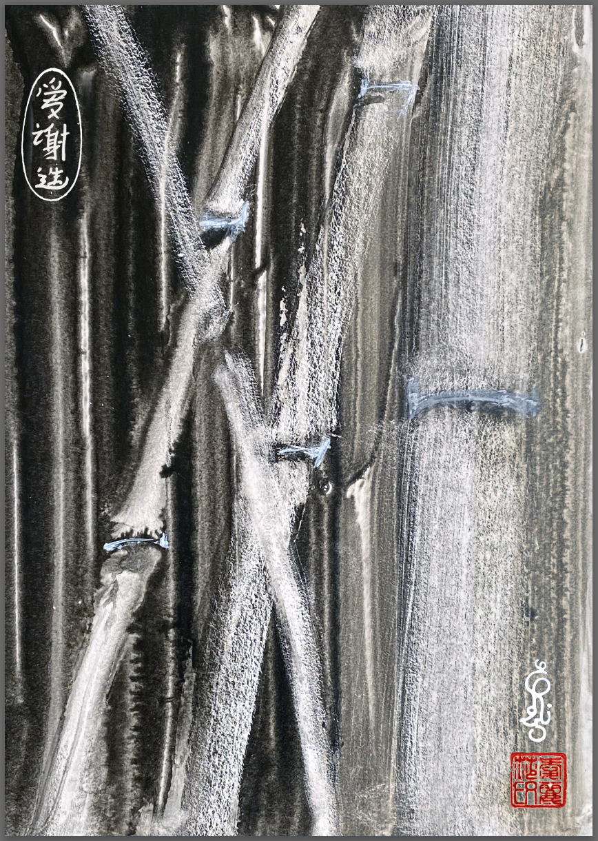 bambous-de-novembre-2-copier-ecran