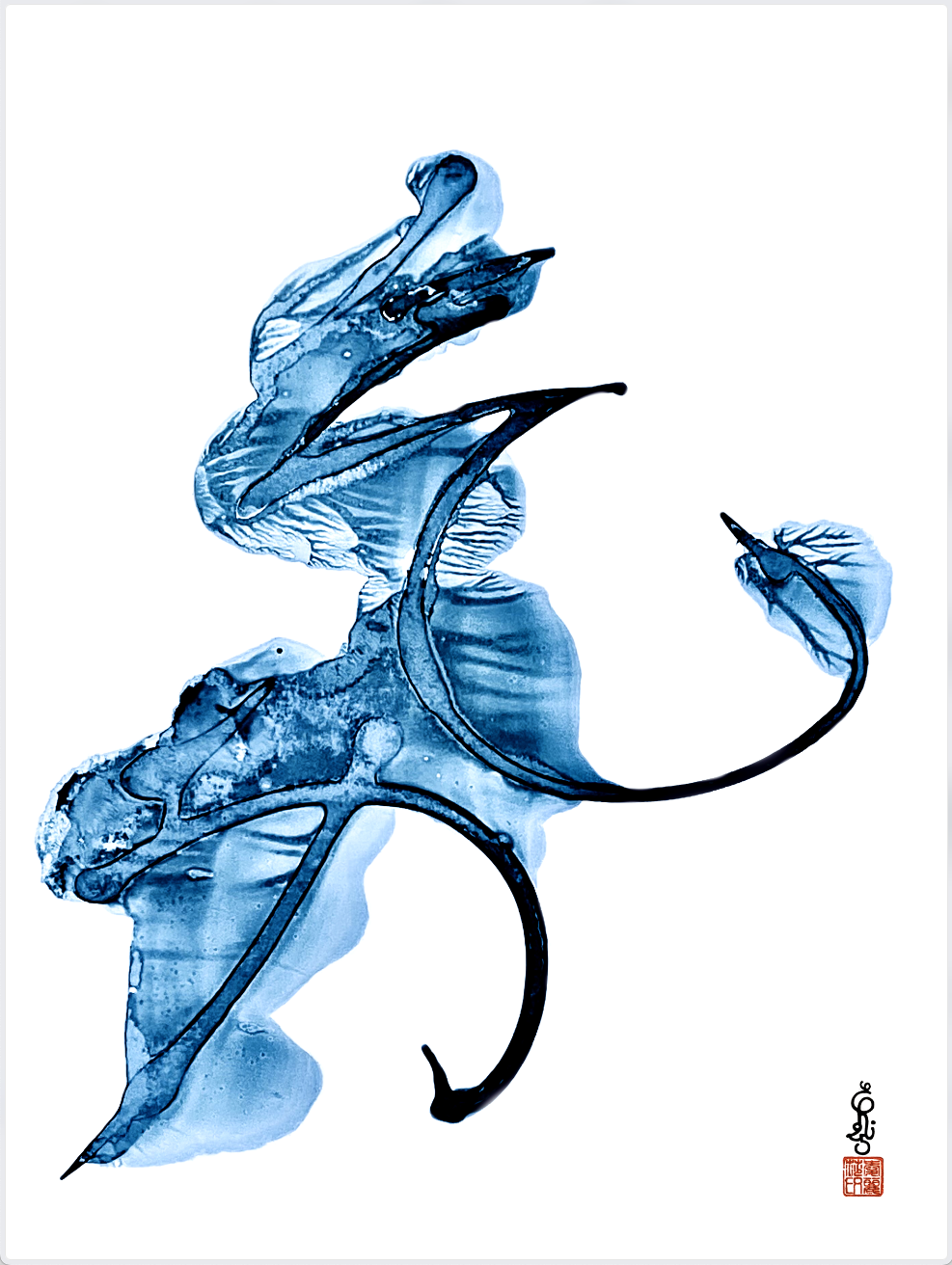 capture-decran-2025-11-26-a-17.08.48