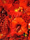 09-RE-Tendance-rouge